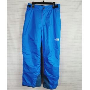 The North Face Freedom Insulated Snow Pants in Electric Blue, sz Large